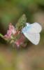 283240 – Photo : Louis Ton – France (30)